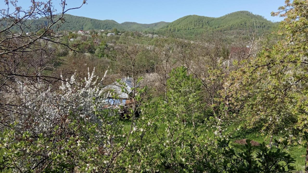 Bat'Kivska Hata Stari Kuty Dış mekan fotoğraf