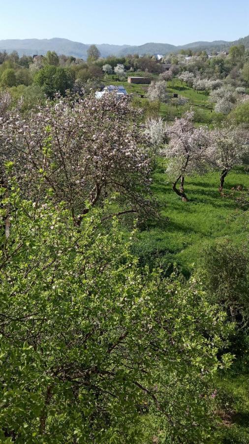Bat'Kivska Hata Stari Kuty Dış mekan fotoğraf