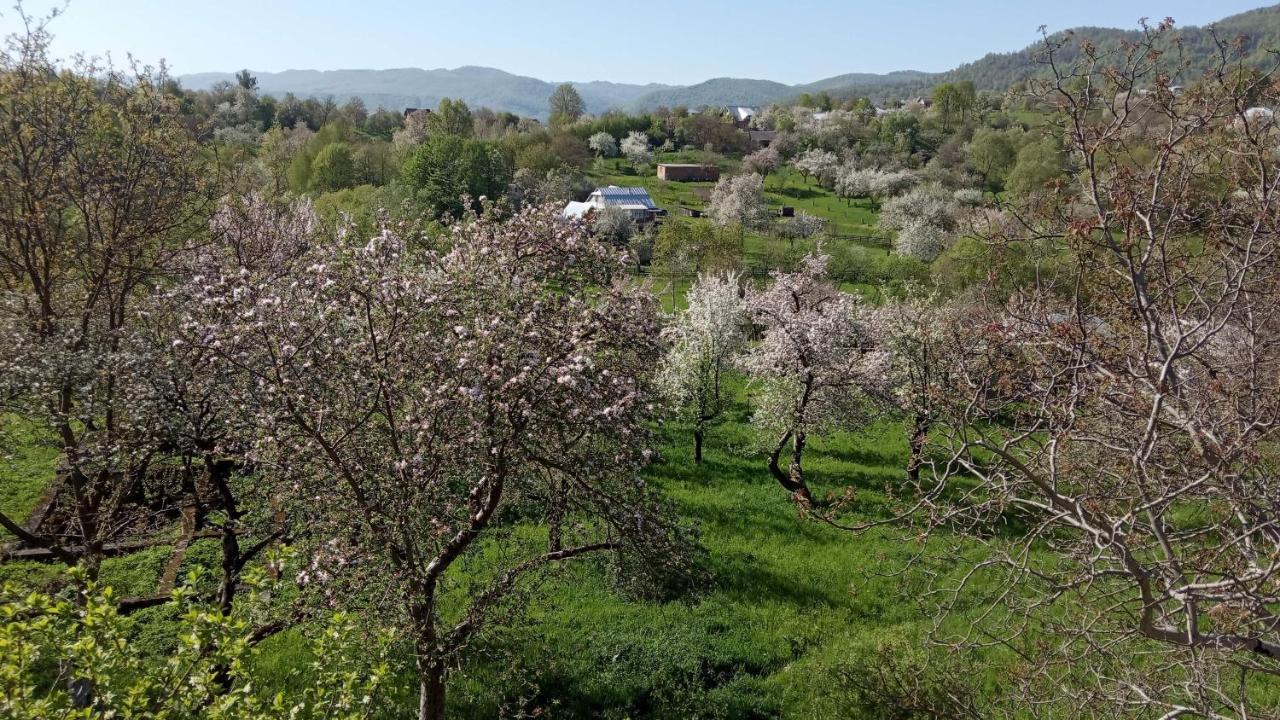 Bat'Kivska Hata Stari Kuty Dış mekan fotoğraf