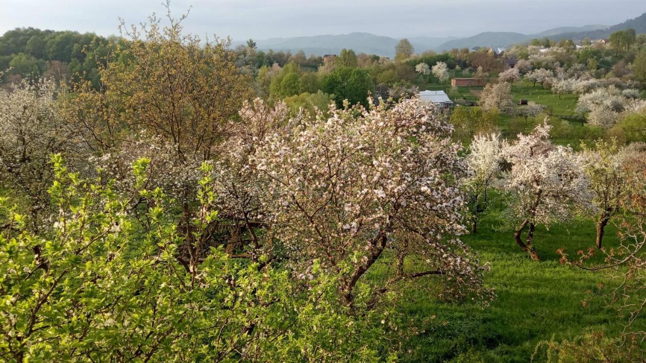 Bat'Kivska Hata Stari Kuty Dış mekan fotoğraf