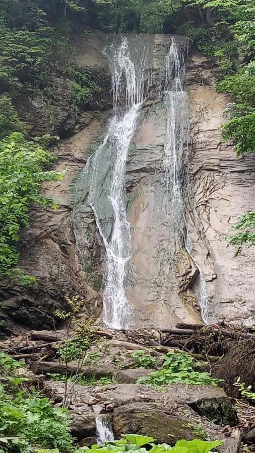 Bat'Kivska Hata Stari Kuty Dış mekan fotoğraf