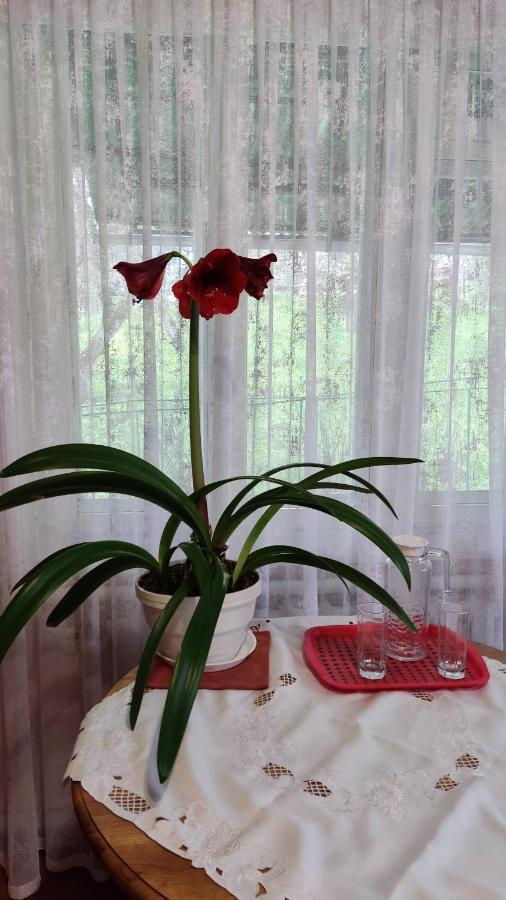 Bat'Kivska Hata Stari Kuty Dış mekan fotoğraf